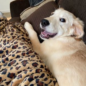 Meet your Posher, Andrea